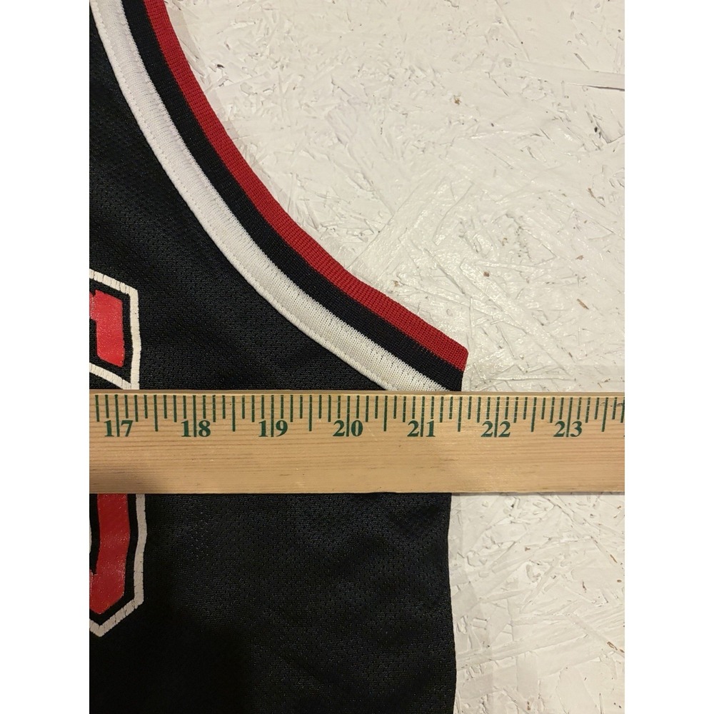 Vintage Champion Chicago Bulls Scottie Pippen Basketball Jersey Size‎ 44 NBA - Picture 8 of 11